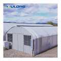 Agricultural Greenhouses With Light Deprivation System